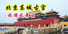 小嫩B被中国北京-东城古宫旅游风景区